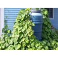 thumbnail image 1 of UpCycle Products PBN Plastic Barrel Netting, 1 of 1