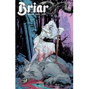 Briar Boom! #1A VF ; Boom! Comic Book