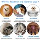 thumbnail image 5 of Calcetines para perros, protectores de patas para perros pequeños y gatos: protegen las patas de las mascotas y los suelos de interiores (XS), 5 of 5