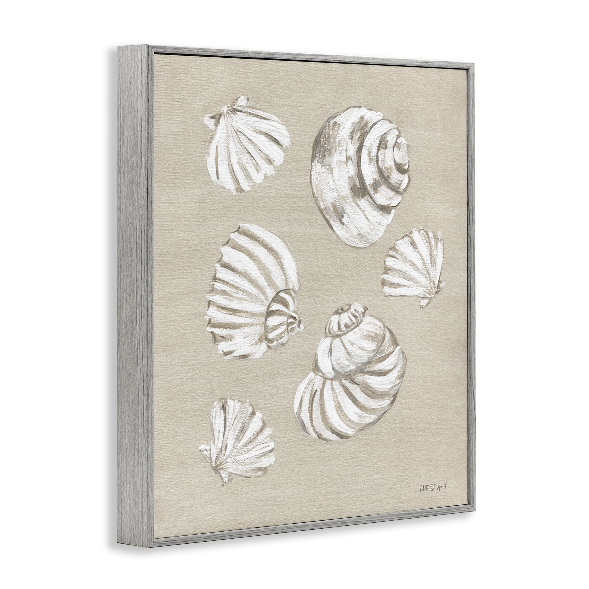 Stupell Industries Beach Shell Treasures Coastal Painting Gray Framed Art Print Wall Art, 11 x 14