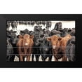 thumbnail image 2 of Schell, Jennie Marie 18x12 Black Modern Framed Museum Art Print Titled - Curious Cattle, 2 of 5
