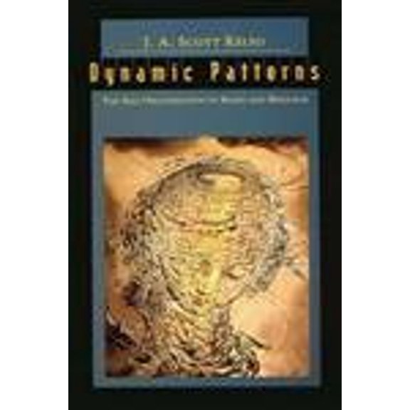 Pre-Owned Dynamic Patterns: The Self-Organization of Brain and Behavior (Paperback) 0262611317 9780262611312