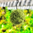 thumbnail image 4 of 7.8 Inch Artificial Moss Topiary Balls, Large Handmade Greenery Balls for Outdoor Decor, Garden, Patio, Wedding Centerpieces, and Indoor Home Party Displays, 4 of 5
