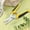 YE, variante sur TopLLC Ciseaux Multifonctions en Acier Inoxydable Ciseaux en Fer Robustes Ciseaux de Jardin Ciseaux Horticoles pour Fruits et Branches Ciseaux Antidérapants et Économiseurs d'Effort Ciseaux Électriques en Acier Inoxydable