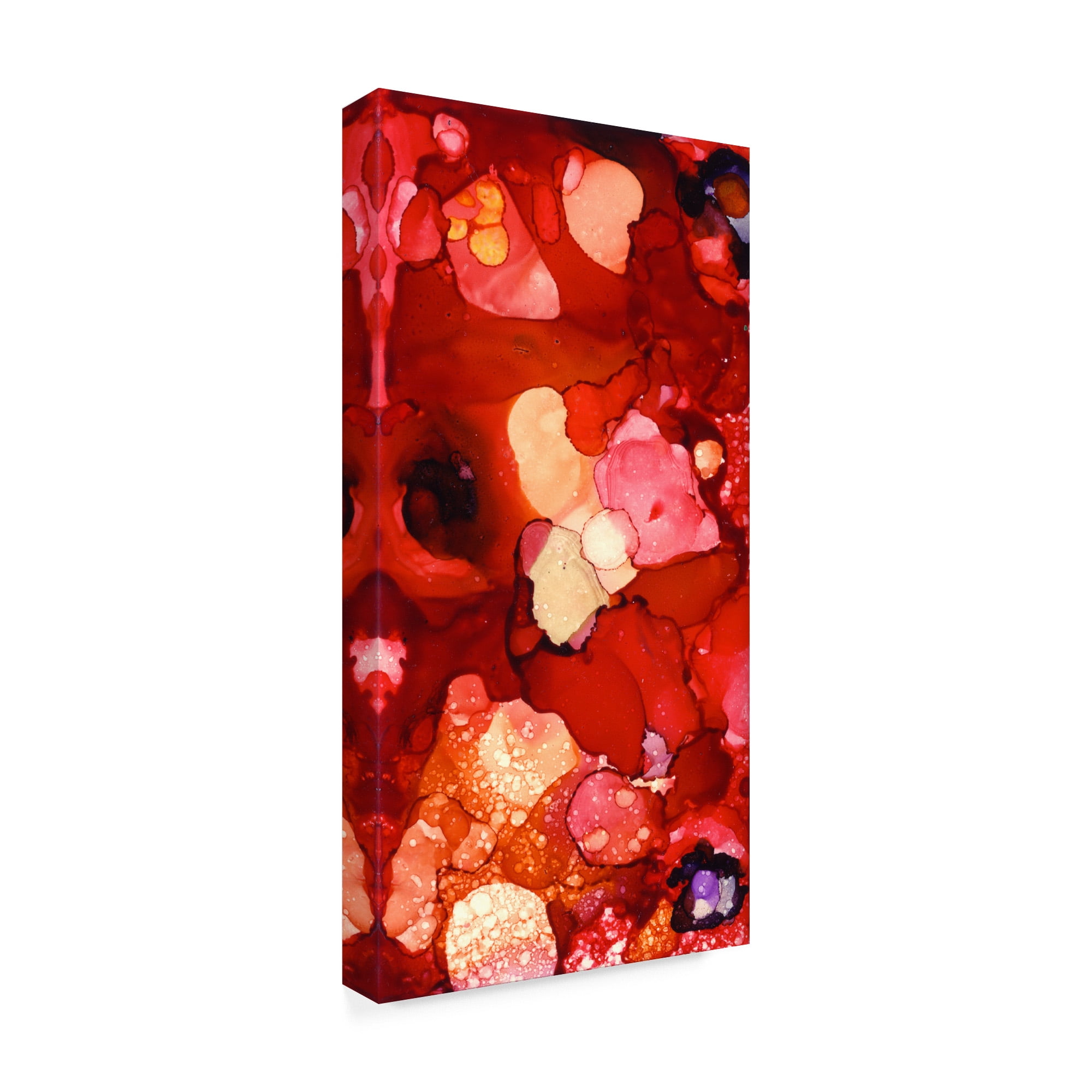 Trademark Fine Art 'Into The Reds' Canvas Art by Pat Saunders-White