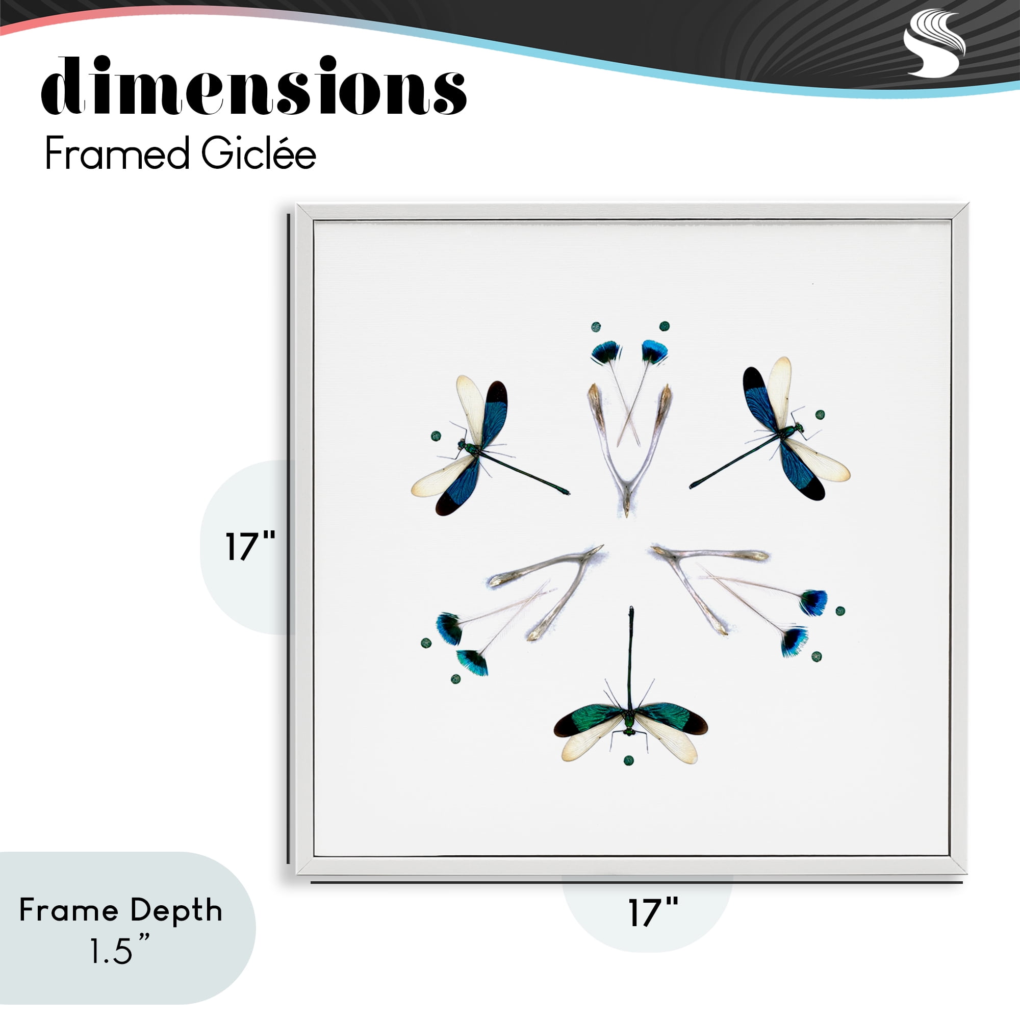 Stupell Industries Simple Dragonfly Symmetry White Framed Giclee Art, design by Beth Adoette