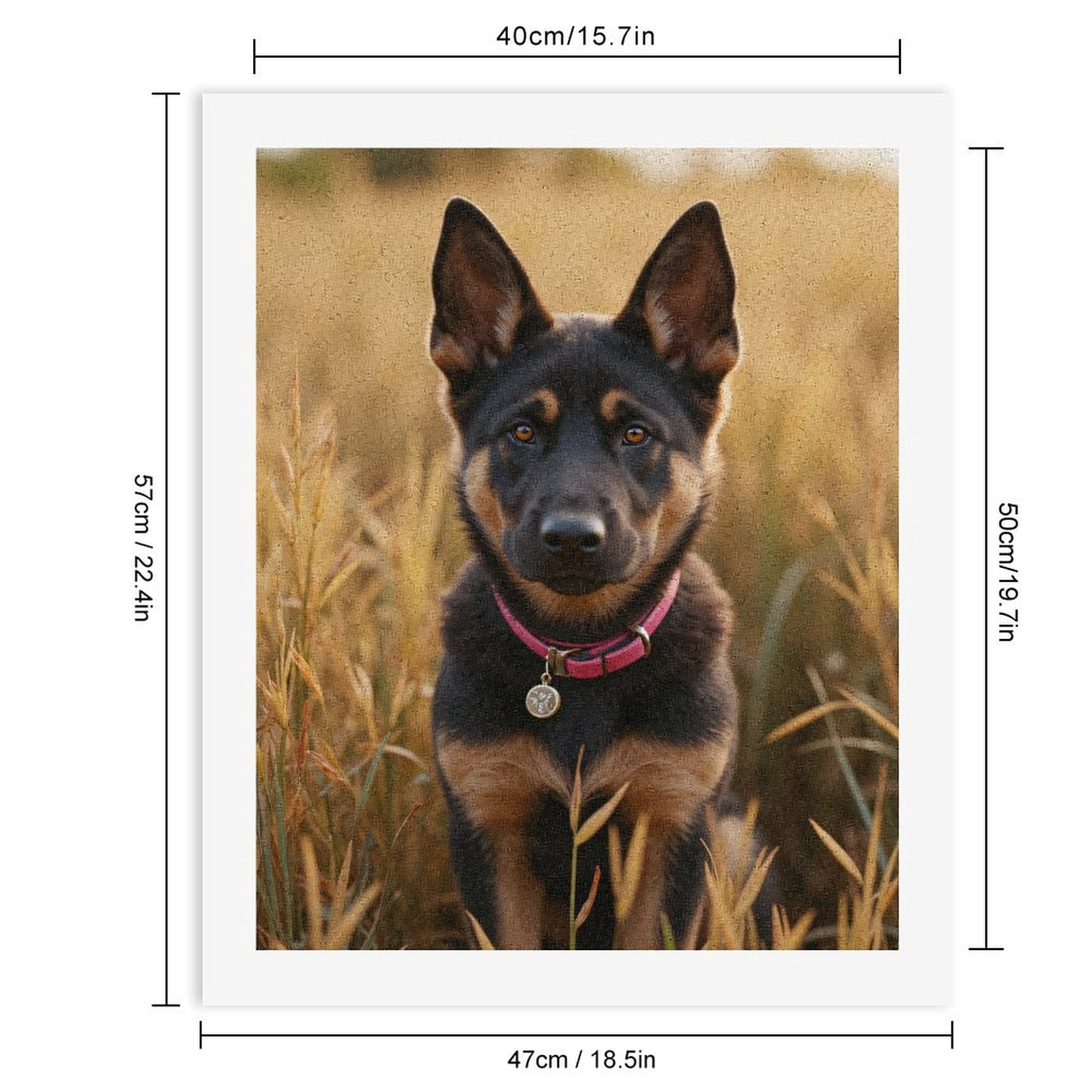Paint By Numbers Kit for Adults Beginner - DIY German Shepherd Dog In Field Canvas Painting Kits for Adults, Frameless Paint By Number for Adults for Home Wall Decor 16x20 Inch
