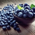 thumbnail image 3 of Brighter Blooms - Legacy Blueberry Bush, 2 gal - No Shipping to AK, AZ, CA, GA, HI, MI, OR, WA, 3 of 7