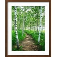 thumbnail image 2 of Art.com White Birch Lane Photographic Print, Brown Frame Wall Art, 17" x 21", 2 of 5