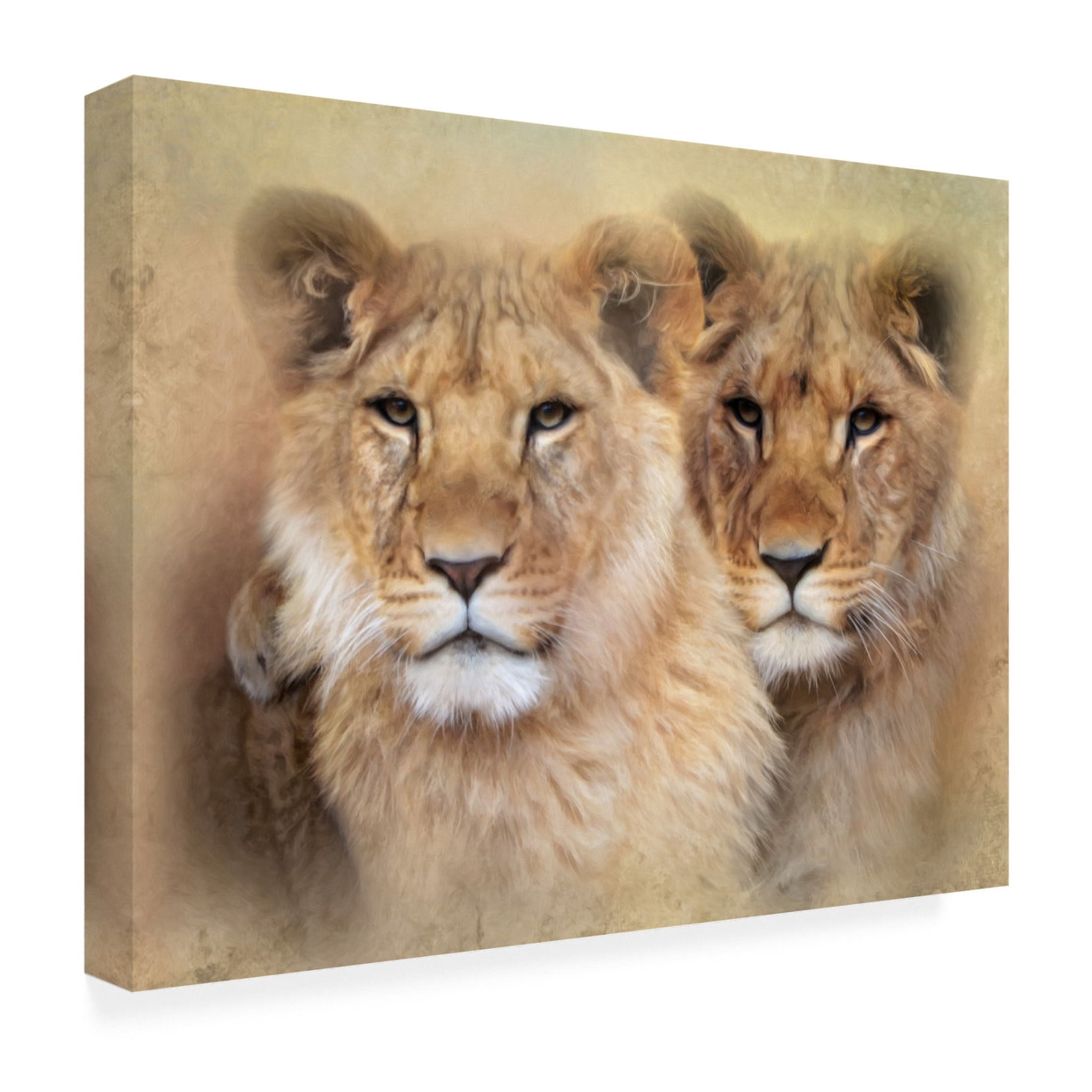 Canvas Wall Art - Trudi Simmonds 'Little Lions' Wall Art for Living Room, Bedroom, or Office Décor by Trademark Fine Art - 19 x 14 Inches