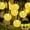Warm White, variant on Solar String Lights Globe 21 Feet 30 Crystal Balls Waterproof LED Fairy Lights 8 Modes Outdoor Lights Solar Powered String Light for Garden Yard Home Party Wedding Decoration (Multi-Colored-30LED)
