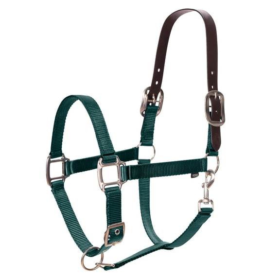 Equinavia Loki Adustable Breakaway Horse Halter