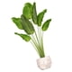 thumbnail image 5 of 1 juego de adhesivos de pared para plantas en maceta, ideales para sala de estar o bonsáis. Adhesivos de pared vívidos para interiores., 5 of 7