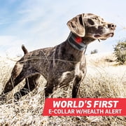 SportDOG Brand FieldSentinel 825 Remote Trainer with BodyGuard Health Alerts Worlds First Dog E-Collar with Health Monitoring Train with Static, Vibrate, and Tone Mile Range