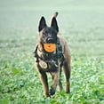 thumbnail image 6 of BESTSKY Dog Puppy Soft Tpr Chew Toys Teething Pet Bite Dental Circle Healthy Gum Puppy Chew Toys for Teething, 6 of 7
