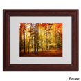 thumbnail image 2 of Trademark Fine Art "Fall Color" Canvas Art by Philippe Sainte-Laudy, Black Frame, 2 of 3
