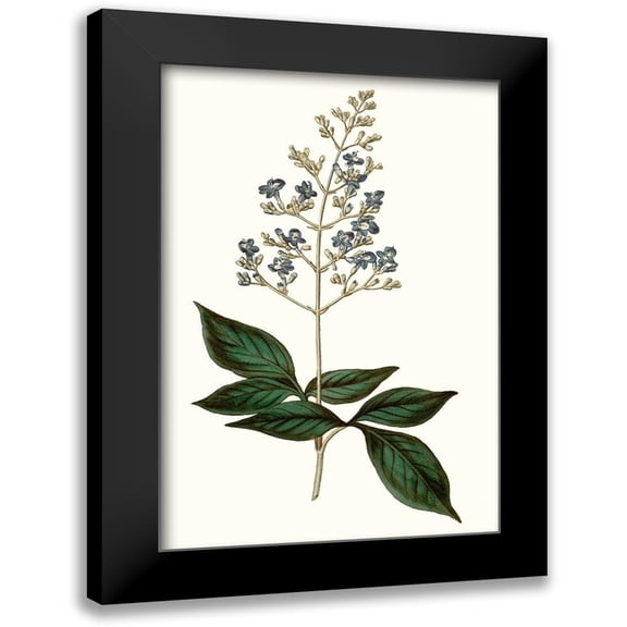 Curtis 11x14 Black Modern Framed Museum Art Print Titled - Soft Blue Botanicals IV