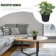 thumbnail image 5 of Fittonia artificial de escritorio para decoración de interiores y exteriores, plantas artificiales de plástico en maceta., 5 of 5