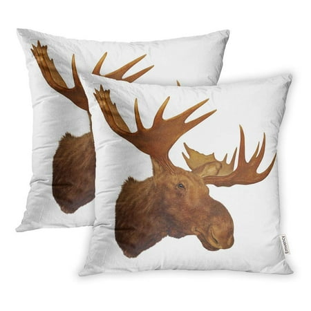 Moose Trophy Antler - USART Taxidermy Moose Head Antler White Animal Trophy Big Rack Wilderness England Prize Pillow Case Pillow Cover 18x18 inch Set of 2