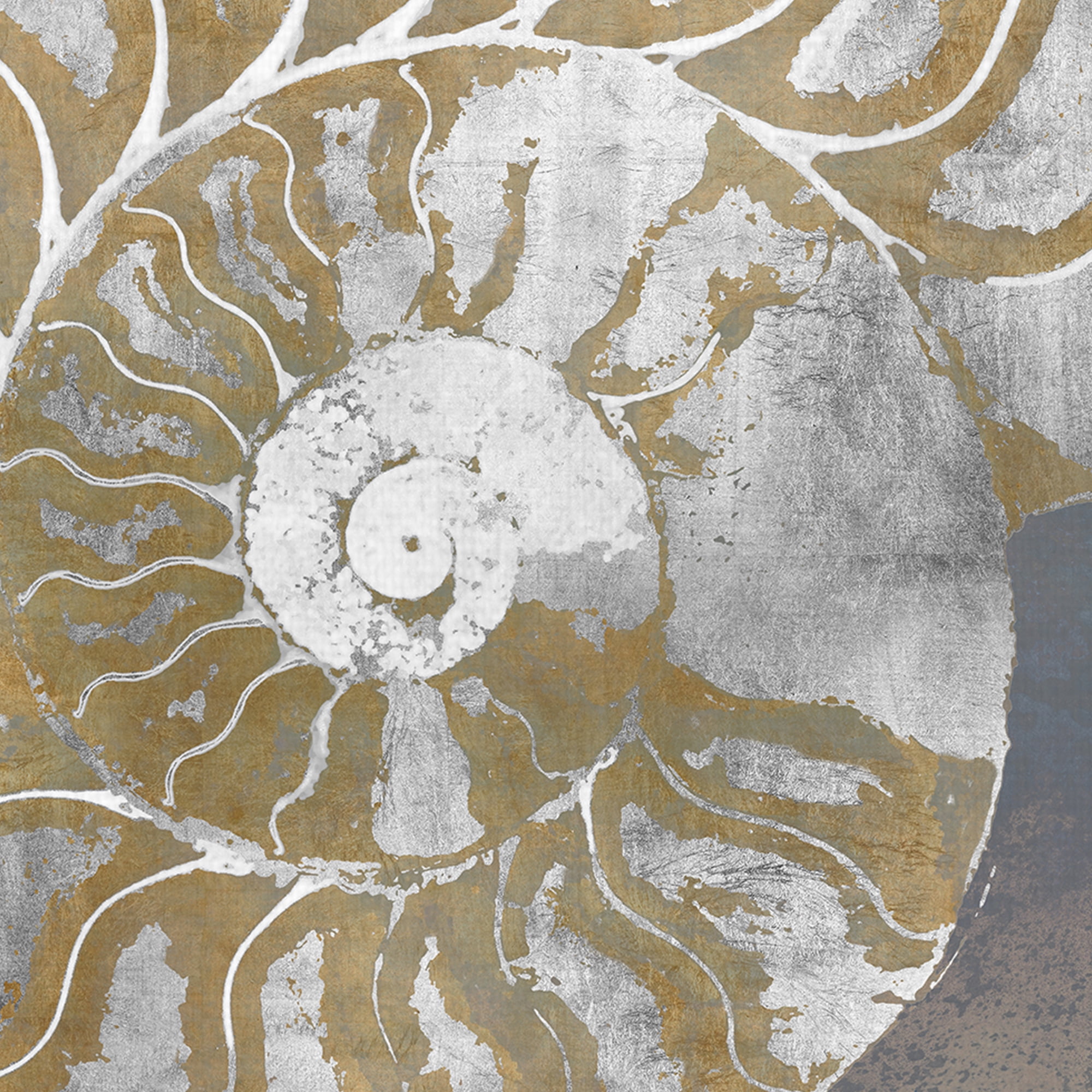 Nautilus I, II by Mark Chandon Mollusk Canvas Art Set of 2