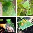 thumbnail image 6 of Hadanceo 100Pcs Fruit Protection Mesh Bags,Drawstring Netting Cover Mesh,Fruit Protectors Bird-proof Fruit Bags,Strawberry Blueberry Protection Bags, 6 of 13