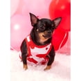 thumbnail image 4 of PETSIN Réservoir pour Animaux Motif Cœur 1 Pce pour la Saint-Valentin, 4 of 5
