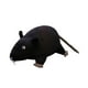 thumbnail image 5 of Encantadora muñeca de juguete de ratones, muñeca de almohada de animales, juguete de peluche interactivo, dibujos animados de felpa Negro Zulema Muñeco de peluche, 5 of 8