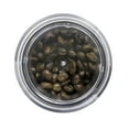 thumbnail image 3 of HomeCraft HCCG1SS Stainless Steel Coffee Grinder, 3 of 6