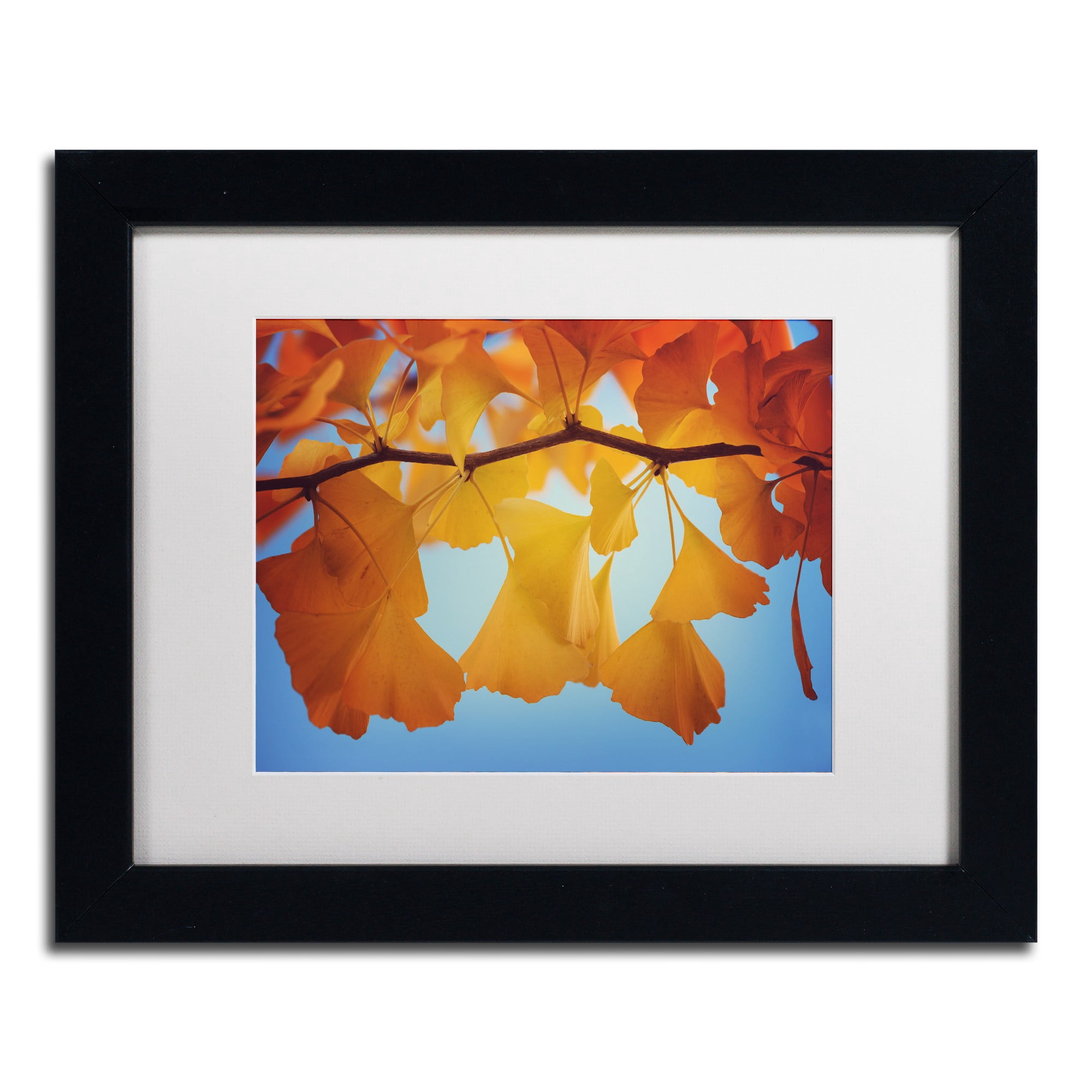 Trademark Fine Art "Spiritual Food" Canvas Art by Philippe Sainte-Laudy White Matte, Black Frame