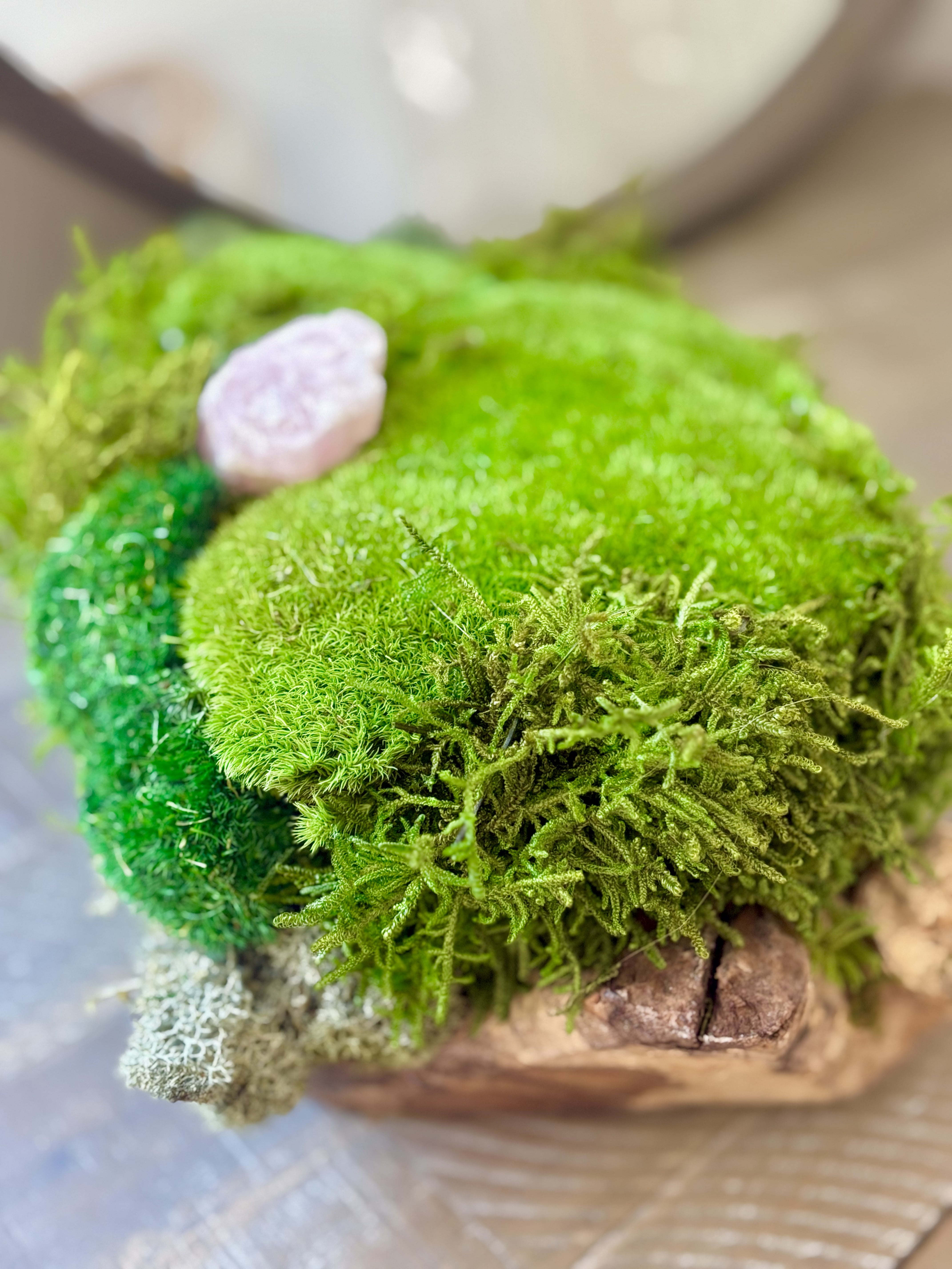 Preserved Moss Centerpiece Eco-Friendly in Teak Wood Planter