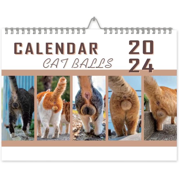 CHAO Calendario de bola de gato 2024, nuevo calendario de pared divertido 2024, calendario de pared de regalo de broma 2024, calendario de gato idiota de enero de 2024 a diciembre de 2024, calendario