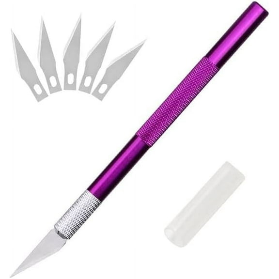 Precision Knife, 2 Pcs Spiral Carving Craft Tool Craft Knife Pottery Tools Stainless Steel Hobby Knife with 10 Detail Blades and 2 Cover Purple&Silver