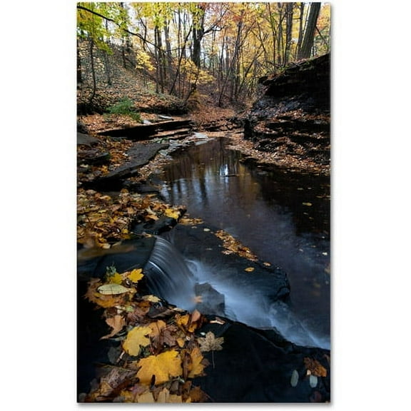 Trademark Fine Art "Autumn Stream" Canvas Art by Kurt Shaffer