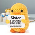 thumbnail image 1 of Inspirador positivo pato de crochet con tarjeta energía positiva Doll Duck Lindo Crochet Duck Ornament para animar regalos de cumpleaños para mujeres amigos compañeros de trabajo, 1 of 9