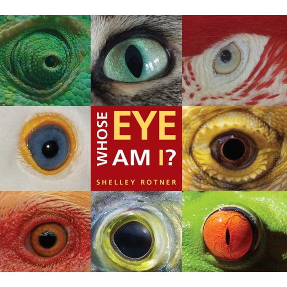 Whose Eye Am I? (Paperback)