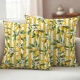 thumbnail image 3 of 2 Pack Outdoor Waterproof Throw Pillows, Farm Lemon Fruit Yellow Stripe Decorative Square Pillow Case Patio Pillows for Chair Couch Sofa 16x16in, 3 of 9