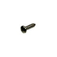 thumbnail image 2 of Pentair R01023 #10 Stainless Steel Shaft Retainer Screw, 2 of 3