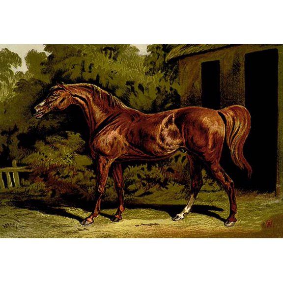 Eclipse Fine art canvas print (20" x 30")