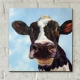thumbnail image 6 of Epic Art 'Louise' by Lucia Heffernan, Acrylic Glass Wall Art, 12"x12", 6 of 8