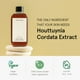 thumbnail image 3 of Tónico facial ONE THING Houttuynia Cordata Extract 300 ml vegano, 3 of 9