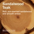 thumbnail image 6 of Every Man Jack Sandalwood Teak Hydrating Beard & Scruff Softening Butter for Men, Naturally Derived, 4 oz, 6 of 13