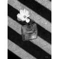thumbnail image 2 of Deiter, Lori 25x32 White Modern Wood Framed Museum Art Print Titled - Cosmos and Shadows, 2 of 4