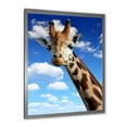 thumbnail image 2 of Designart 'A Giraffe On A Blue Sky Portrait' Farmhouse Framed Art Print, 2 of 4