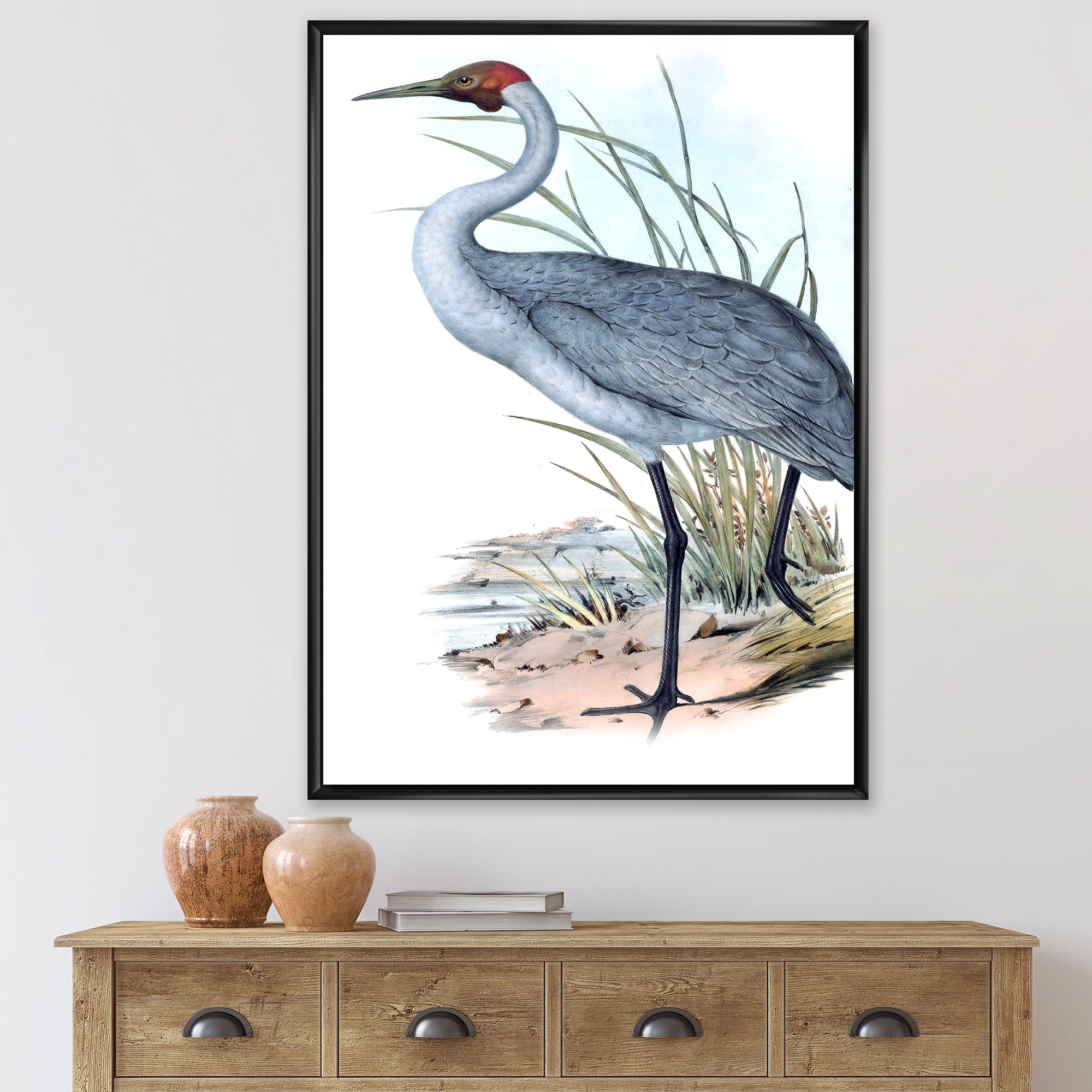 Ancient Australian Birds V 16 in x 32 in Framed Painting Canvas Art Print, by Designart