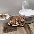 thumbnail image 3 of Effortless Hydration: Pet Waterer with Pumpless Design and Faucet Style for a Natural Drinking Experience, 3 of 5