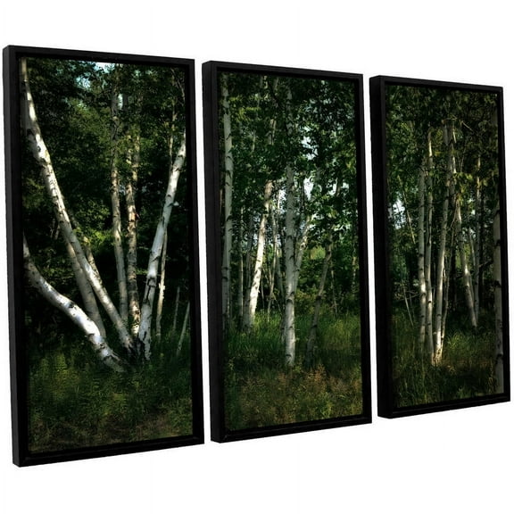 ArtWall Kevin Calkins "Birch Grove in Sunlight" 3-Piece Floater Framed Canvas Set