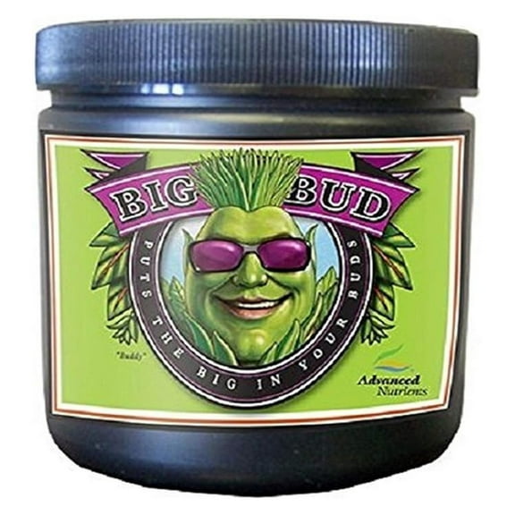 Big Bud Powder, 500gm