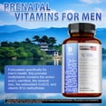 thumbnail image 4 of Men's Fertility Support Capsules - Supporting Men's Health and Reproductive Health - 60 Count, 4 of 8