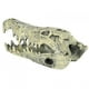 thumbnail image 3 of Adorno de calavera para pecera, decoración para pecera de acuario Adorno de calavera Decoración para pecera Optimizado para la excelencia, 3 of 12