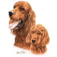 thumbnail image 3 of CafePress - Irish Setter Women's Light Pajamas - Women's Short Sleeve Print T-Shirt and Pants Light Cotton Pajama Set, 3 of 7